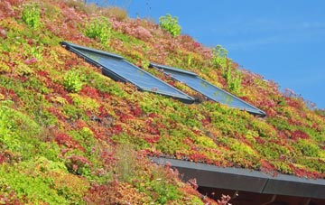 Broomhall Green living roof systems